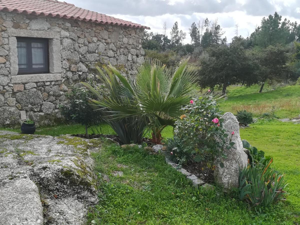 Eiras Do Dao Hotel Penalva do Castelo Kültér fotó