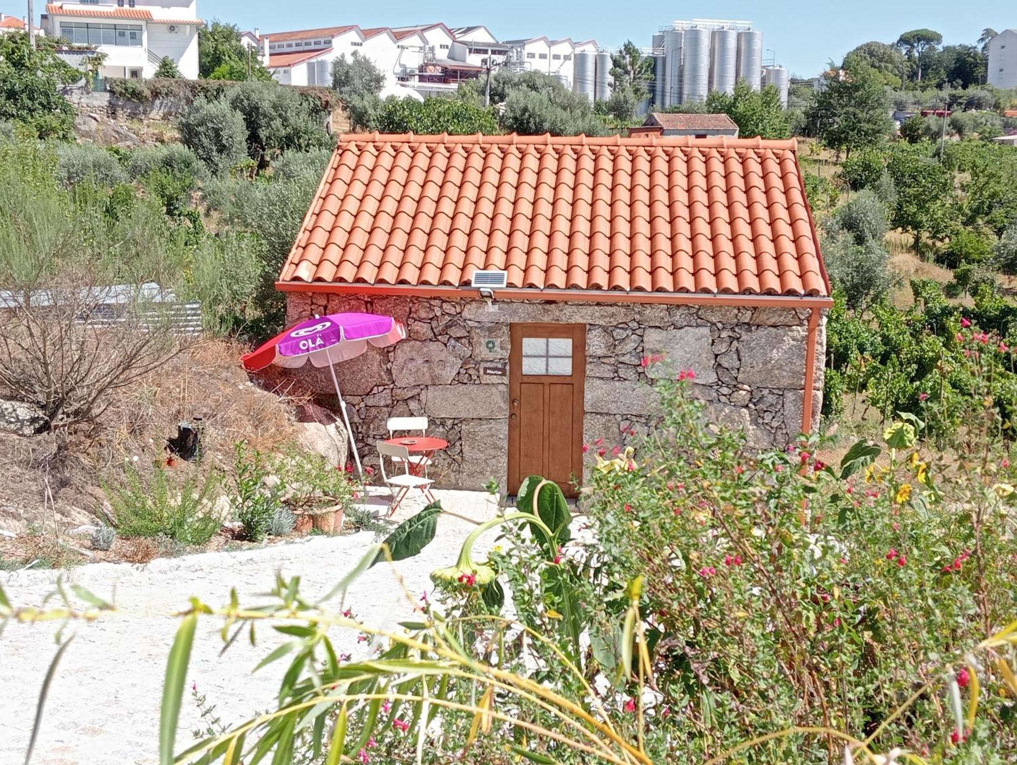 Eiras Do Dao Hotel Penalva do Castelo Kültér fotó